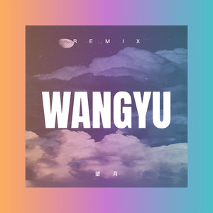 这满天伤心的星星 (Remix)