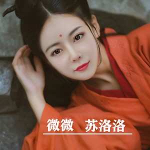 微微 (伴奏)封面
