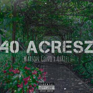 40 Acresz (feat. AhRiel) (Explicit)