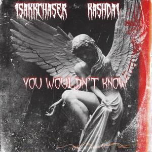 You Wouldn't Know (feat. KashDa1) [Explicit]