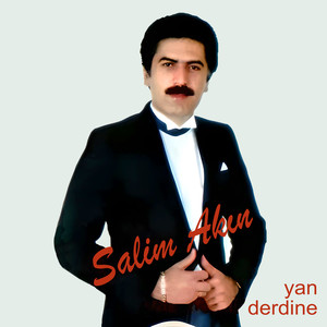 Yan Derdine