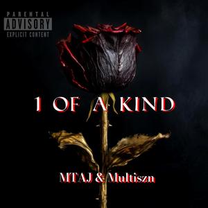 1 of a Kind (feat. Multiszn) [Explicit]