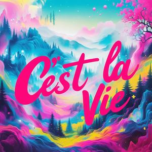 C' est la vie (Explicit)