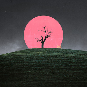 silently watching