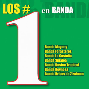 Los #1 en Banda