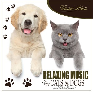 Relaxing Music for Cats & Dogs (& Their Owners)