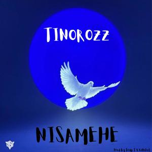 Nisamehe (feat. Tinorozz)