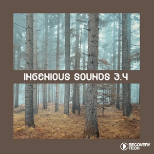 Ingenious Sounds, Vol. 3.4
