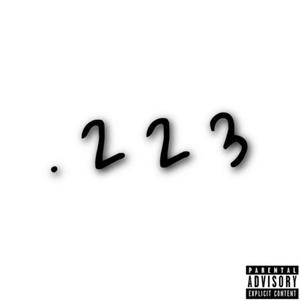 223 (Explicit)