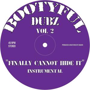 Finally Cannot Hide It (Instrumental UKG Remix)