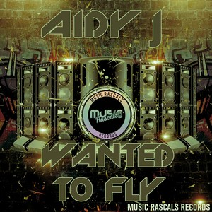 Wanted To Fly (Original Mix)