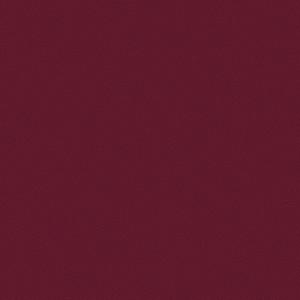 trim (feat. Gxmini & cashavist) (Explicit)