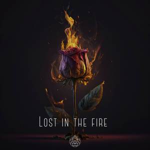 Lost in the Fire