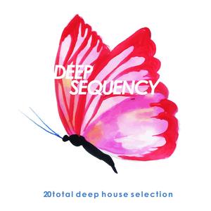 Deep Sequency