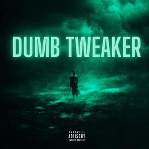 Dumb Tweaker 1.0 (Explicit)