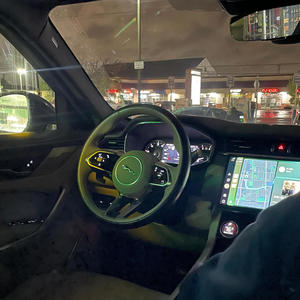 Self Accused (Explicit)