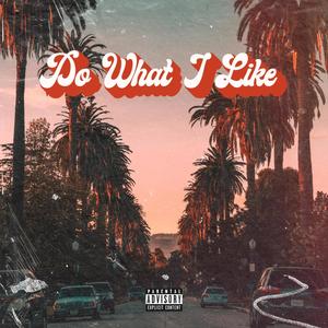 Do What I Like (Explicit)