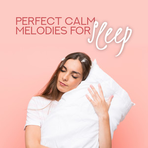 Perfect Calm Melodies for Sleep: Instrumental Melodies with Sounds of Nature, Have a Nice Dream, Calm New Age, Melodies of Flute & Violin