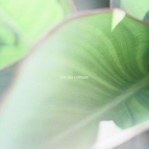 um dia comum