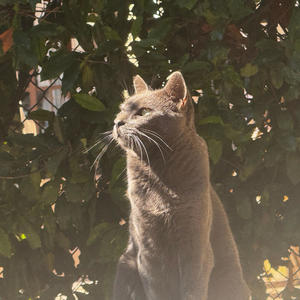 life support (Explicit)