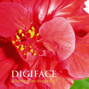 Digiface