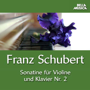 Schubert: Sonatine No. 2 - Trio No. 1