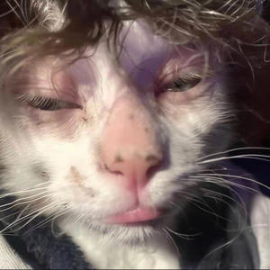 Gas chinese food HEHEHEHHEHE (feat. blxxdy) (Explicit)