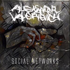 Social Networks