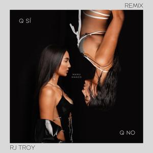 Q Si Q No (RJ Troy Remix) [Explicit]