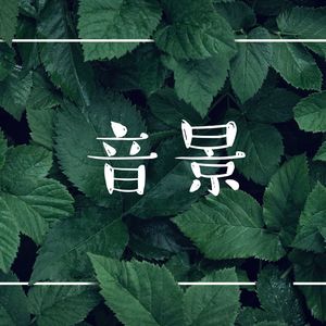 音景：环境音，放松音乐