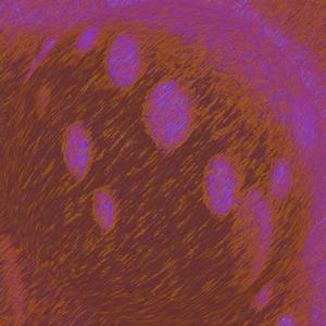 shade of the palm tree.