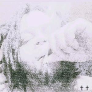 Lingo(feat. Ani Kareem) (Explicit)