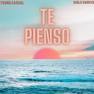 Te Pienso (feat. Young Casual)