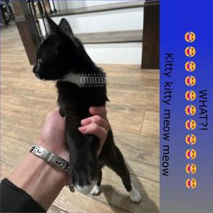 WTF (feat. Wadafuq) (Explicit)