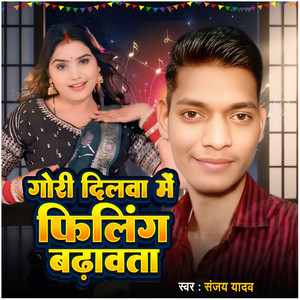 Gori Dilwa Me Filing Badawata