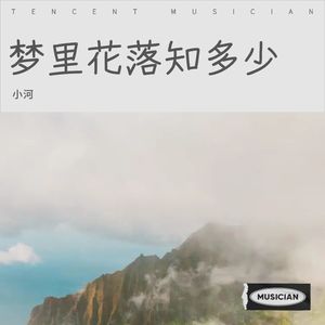 梦里花落知多少 (伴奏)