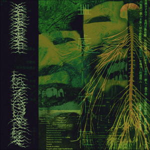 Fails Miserably (Original Mix)