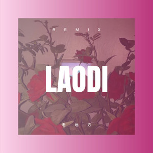 红尘情缘 (DJ版)