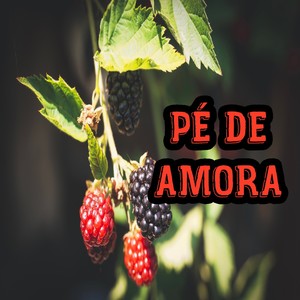 Pé de Amora