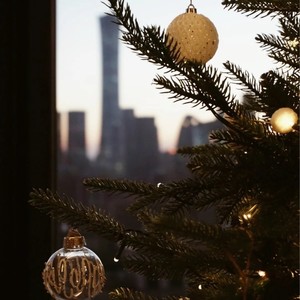 公主殿下-YanngRX