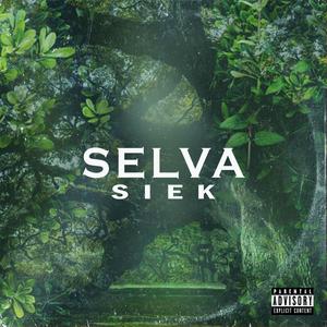 Selva (feat. Afrodeemusic)