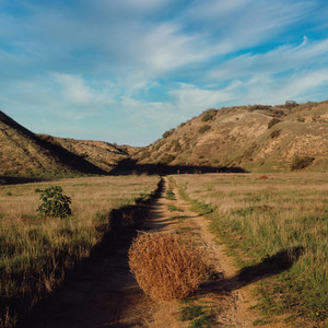 Zoogey - Easier Said (Explicit)