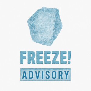 얼음, 땡! (FREEZE!)