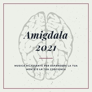 Amigdala Cd 2021 - Musica rilassante per espandere la tua mente e la tua coscienza