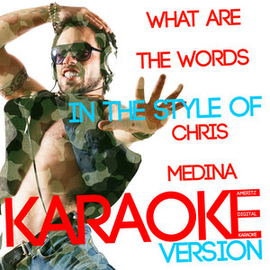 What Are the Words (In the Style of Chris Medina) [Karaoke Version] - Single