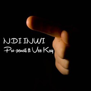 Ndi Inwi