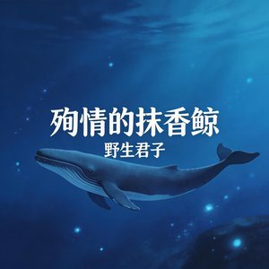 殉情的抹香鲸封面