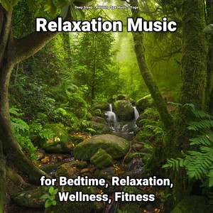 Music for Cats