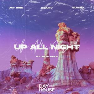 Up All Night(feat. Alia Faye)
