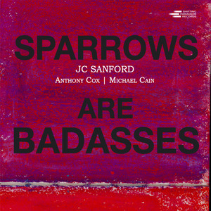 Sparrows Are Badasses